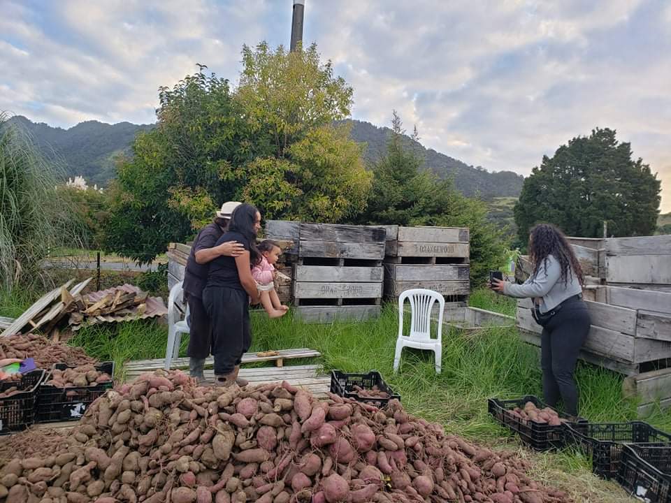 Hauhake Kumara ki Waima Rakaunui April 2022